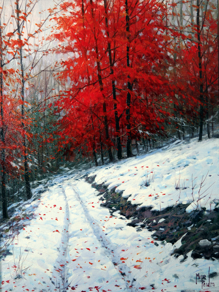 Snow in Autumn