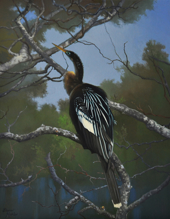 Anhinga