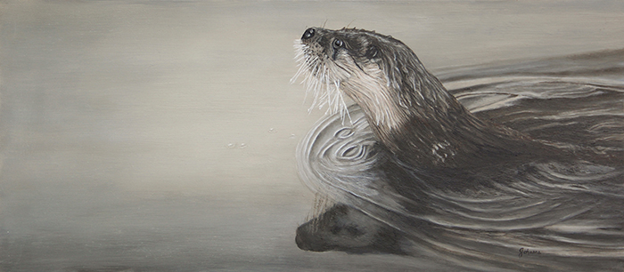 Making Ripples - River Otter