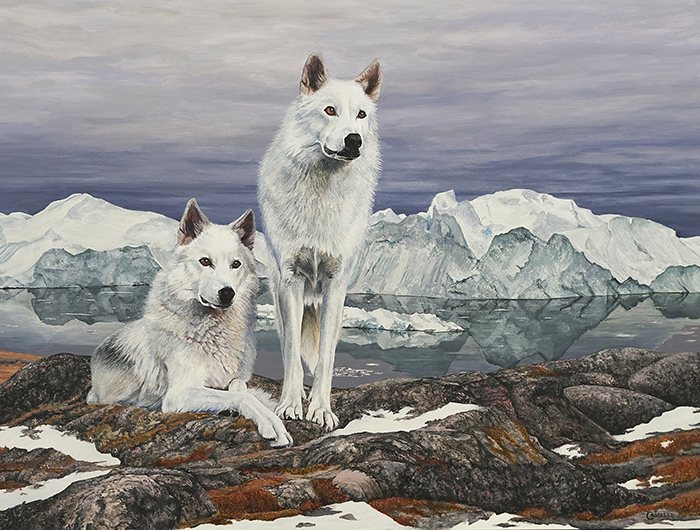 On the Look Out (Arctic Wolves)