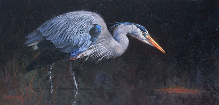 Precision Timing - Great Blue Heron