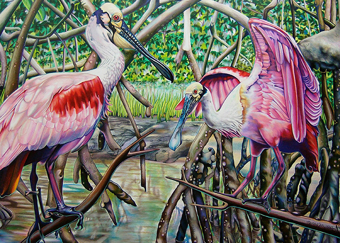 Florida Spoonbills