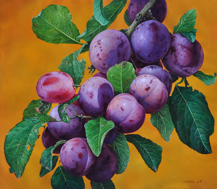 Branch of Plum