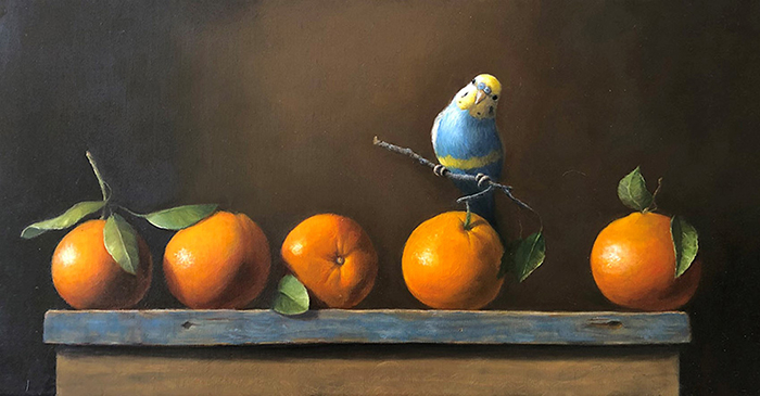 Parakeet on Orange Branch