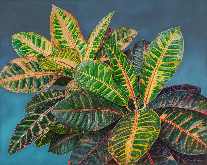 Crotons in Victoria II