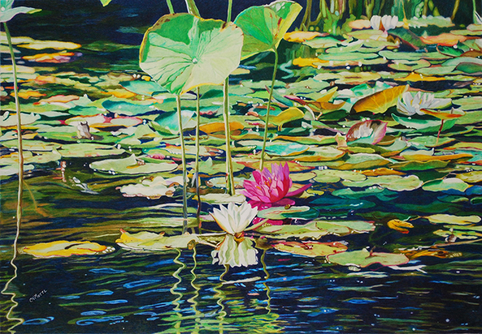Dance of the Lily Pads