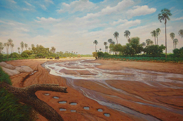 Elephant Tracks in the Sand