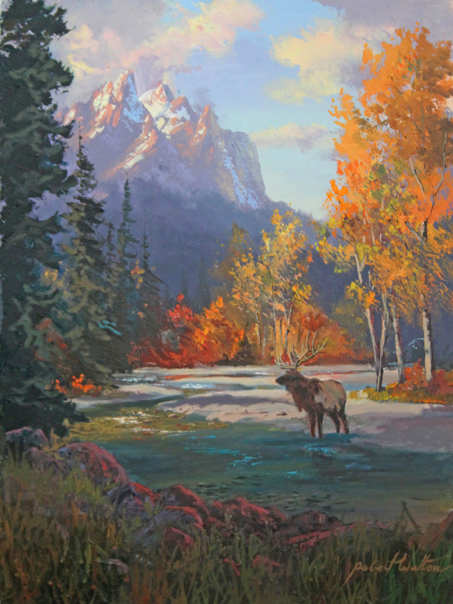 Elk Autumn