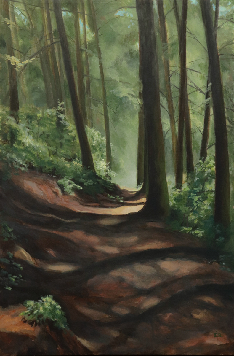 Forest Trail