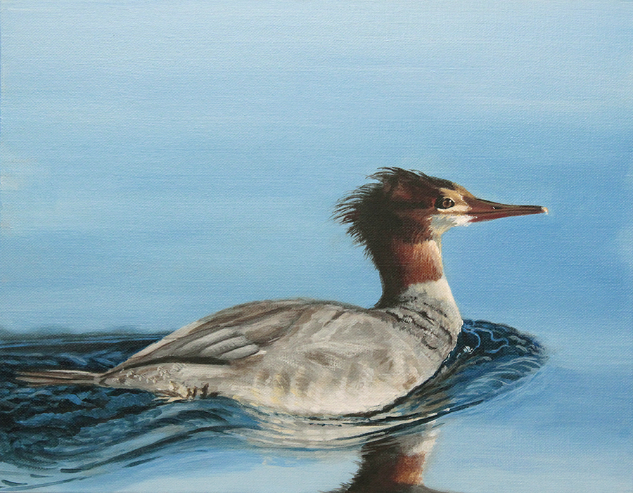 Pushing Water, Merganser