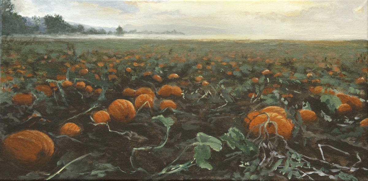 Pumpkin Field