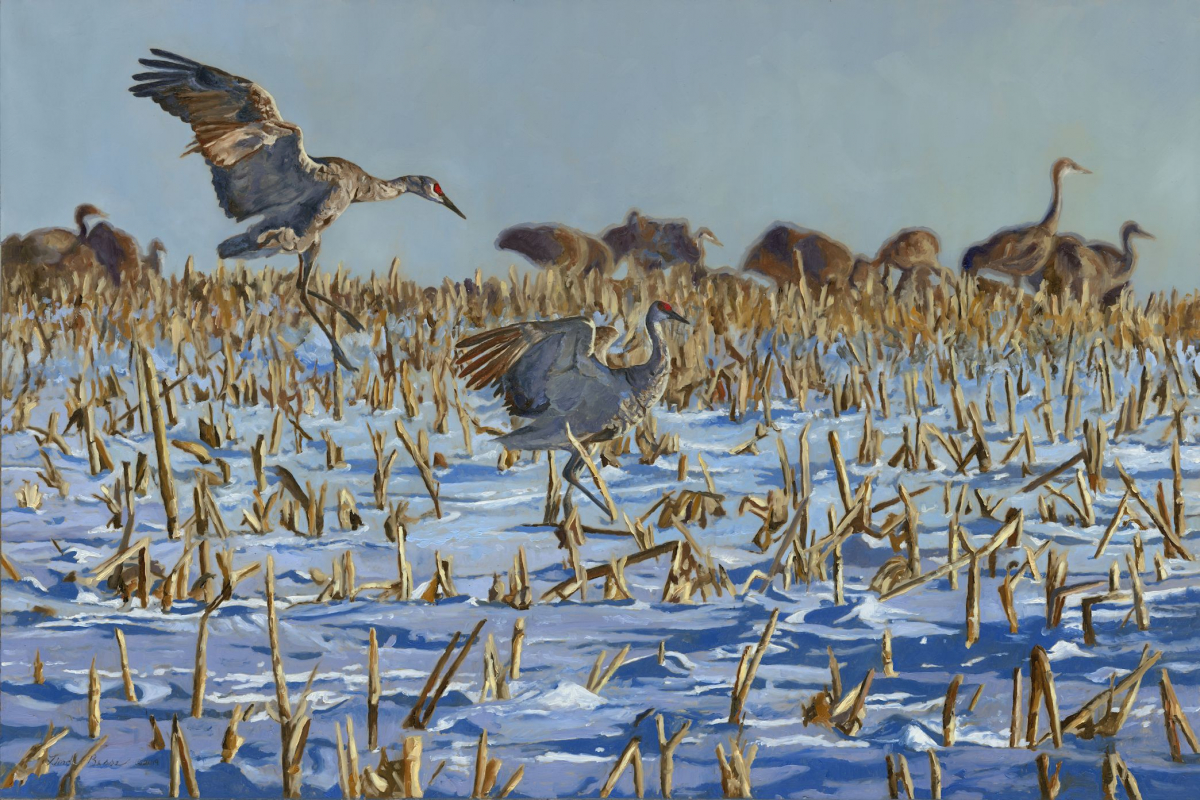 Sandhill Spring Migration