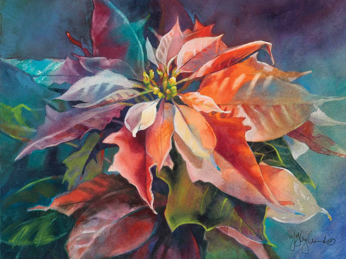 Poinsettia Dream