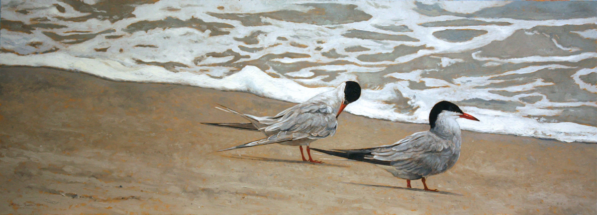 One Good Tern Deserves Another