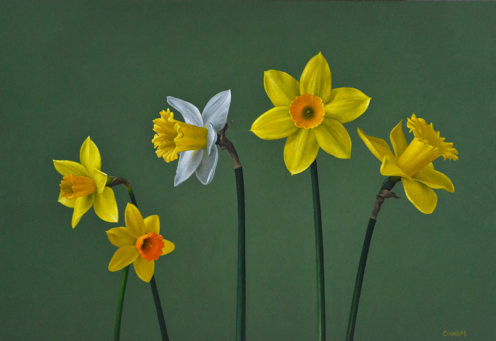 Five Daffodils