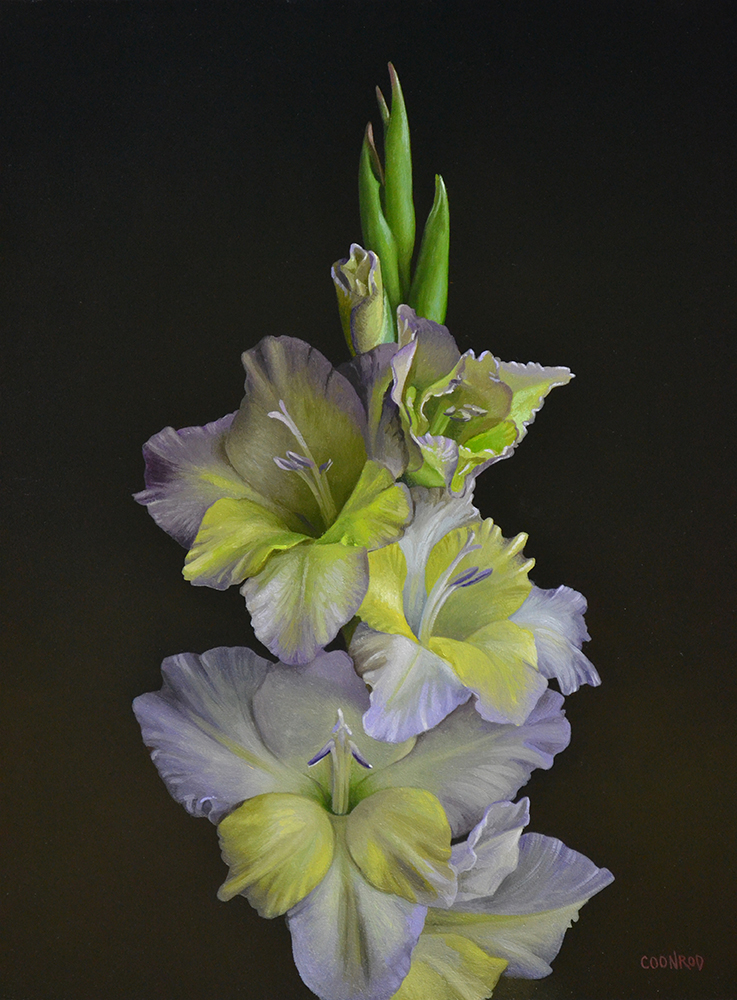 Yellow & Lavender Gladioli