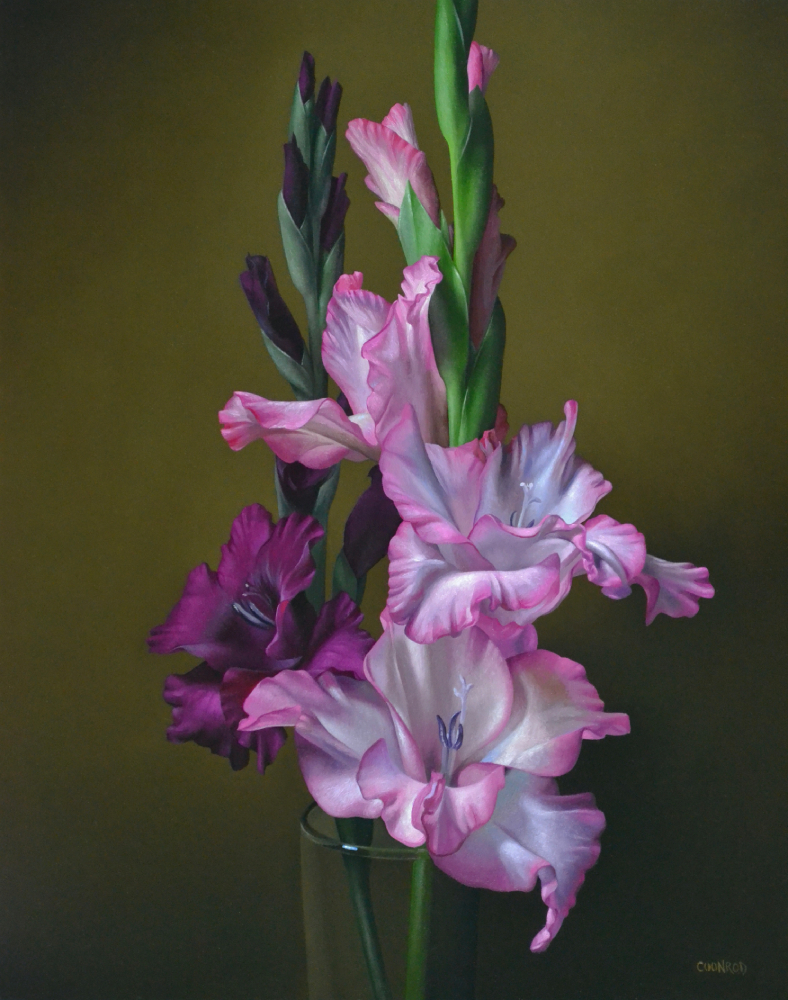 Mixed Gladioli