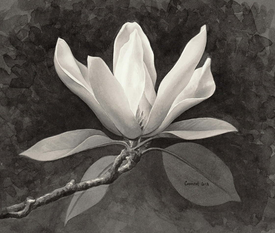 Magnolia