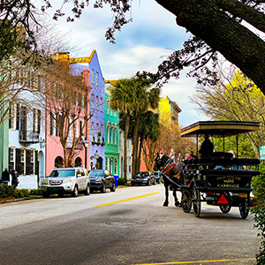The Art Lover's Guide to Collecting Fine Art in Charleston & Vicinity featured image