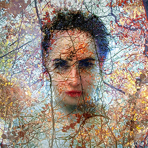 Collector's Focus: Women Artists featured image