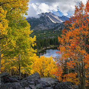 March Featured Image