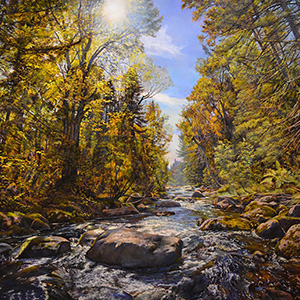 Collector's Focus: Landscapes featured image