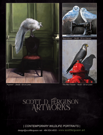 Scott Ferguson