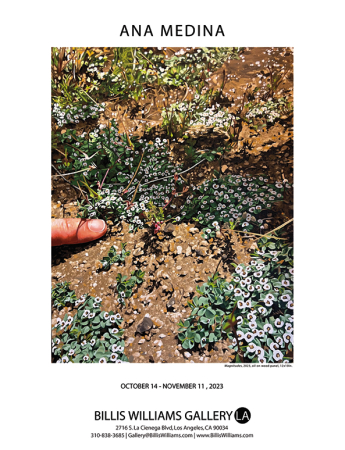 Billis Williams Gallery