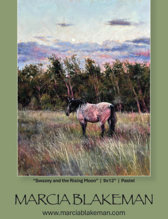 Marcia Blakeman
