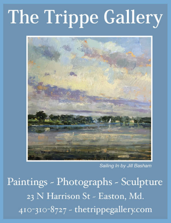 The Trippe Gallery