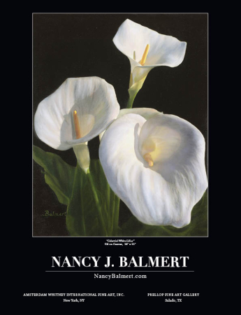 Nancy J. Balmert