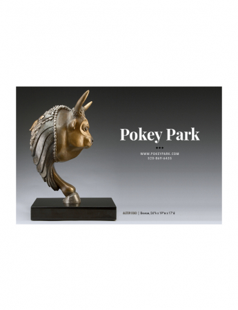 Pokey Park