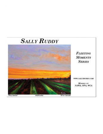 Sally Ruddy
