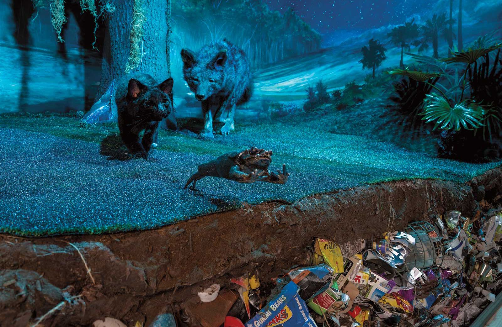 American Art Collector - Issue #241