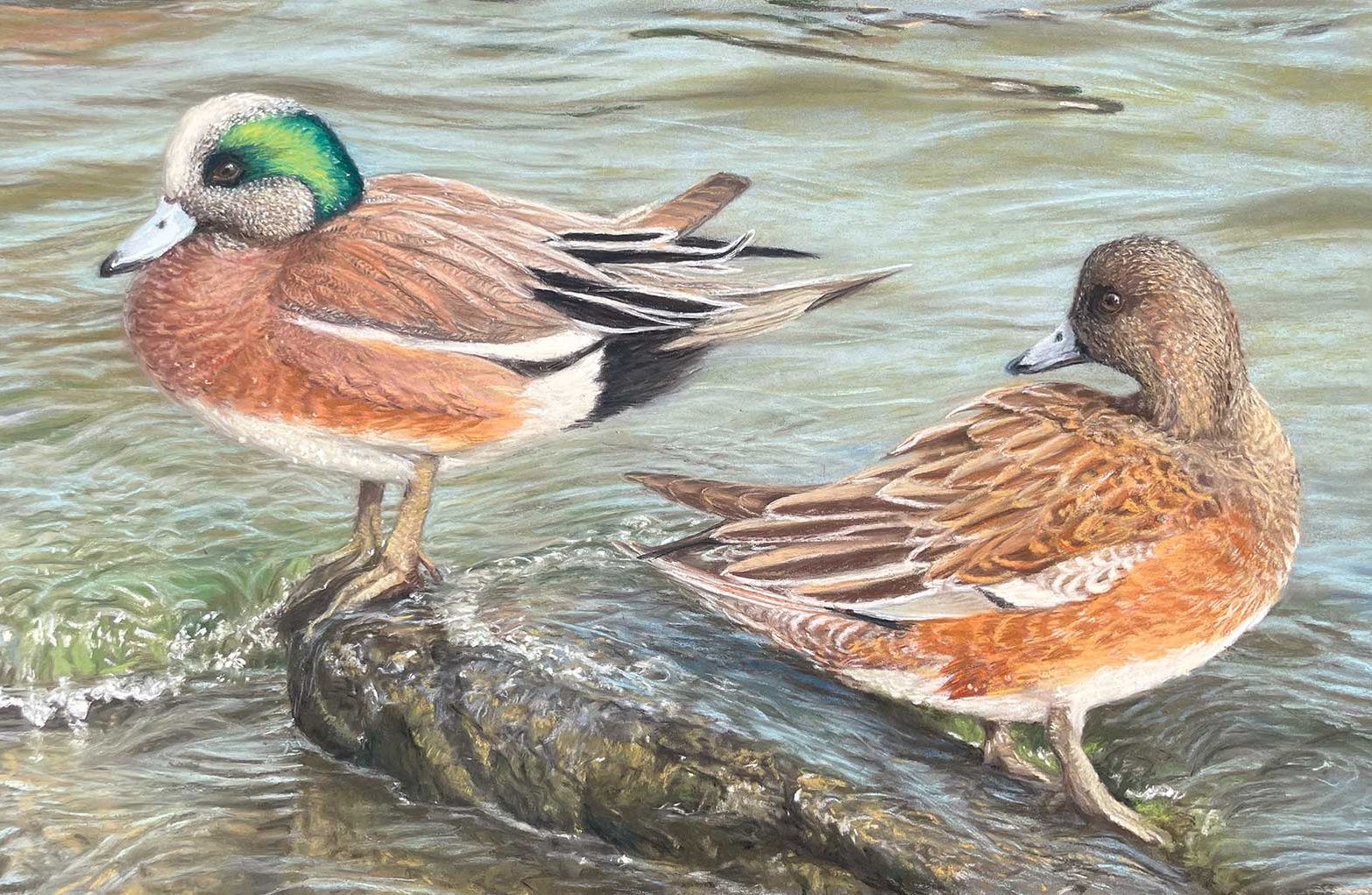 American Art Collector - Issue #241