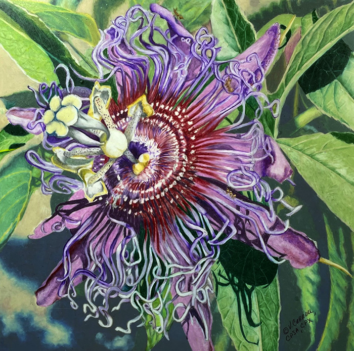 Passion Flower