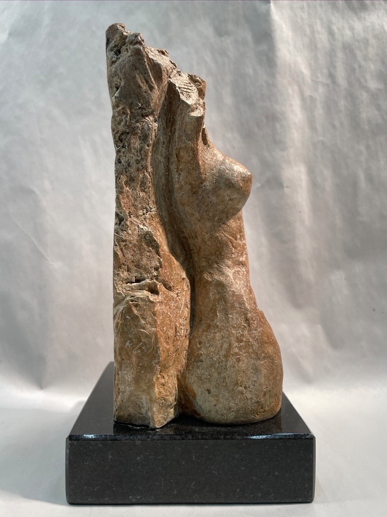 Torso with Wall (side view)