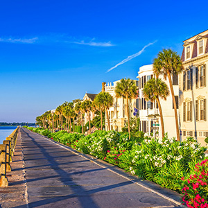 The Art Lover’s Guide to Collecting Fine Art in Charleston, SC, & Vicinity featured image