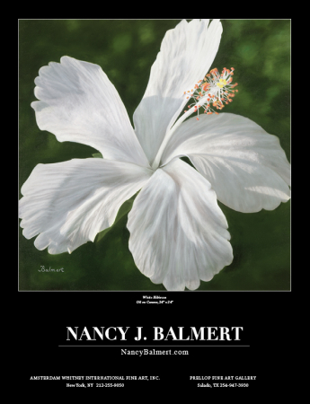 Nancy J. Balmert